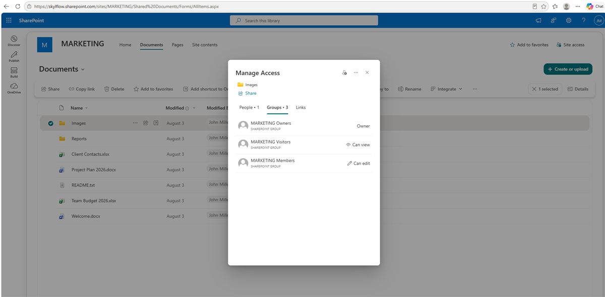 The Manage Access panel for a folder in a SharePoint library: Owners, Visitors and Members groups with their access levels